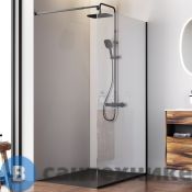 Душевая перегородка АМ.РМ W84WI-120-F1-BTE Func 120x200, стекло прозр. 8 мм, профиль чёрный