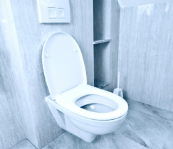 Какой унитаз лучше выбрать для дома и квартиры