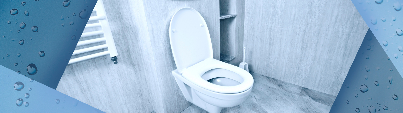 Какой унитаз лучше выбрать для дома и квартиры