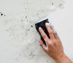 Как защитить ванную от плесени