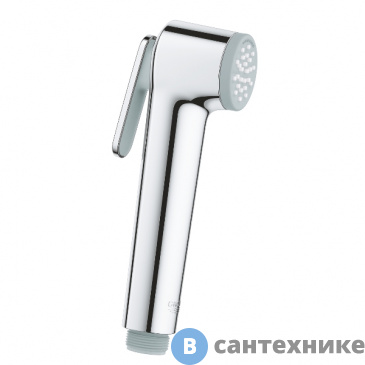 картинка Лейка Grohe Tempesta-F Trigger Spray 30 27512001 для гигиенического душа