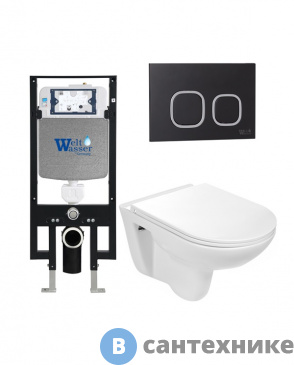картинка Унитаз с инсталляцией WELTWASSER и кнопкой смыва (AMBERG 497 + BAARBACH 004 GL-WT + AMBERG RD-BL)
