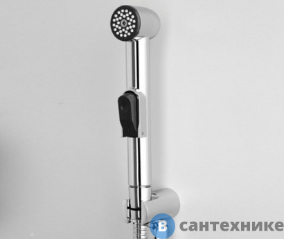 картинка Лейка для гигиенического душа WasserKRAFT A043 с фиксатором хромоникелевое покрытие, ABS-пластик