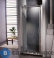картинка Душевая дверь APPOLLO TS-0509Р L (100x185x6) в нишу