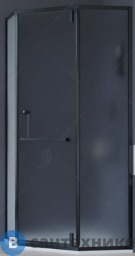 картинка Душевой уголок RGW HO-084B чёрный/сатинат/8 мм 100*100*195 (350608400-24) без поддона