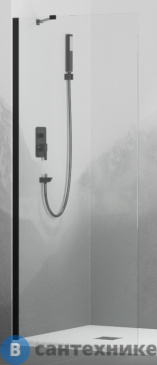 картинка Перегородка для душа RGW WA-102B чёрный/Прозрачное/6 мм 90*195 (351010209-14)