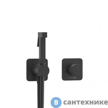 картинка Комплект WasserKRAFT A5251.302.241.212 встраиваемый для биде со шлангом