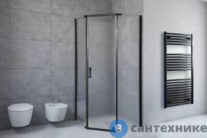 картинка Душевой уголок Royal Bath RB 100TR-C-BL 100х100х200 (матовое) (RB100TR-C-BL)