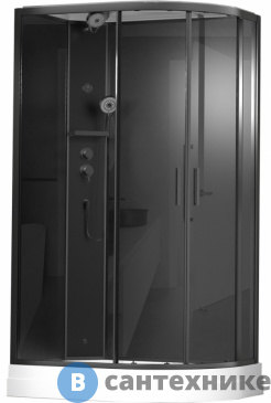картинка Душевая кабина Timo ILMA 902 L Black (120*80*222)