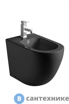 картинка Биде напольное WELTWASSER WW SK MERZBACH 003 MT-BL чёрный матовый