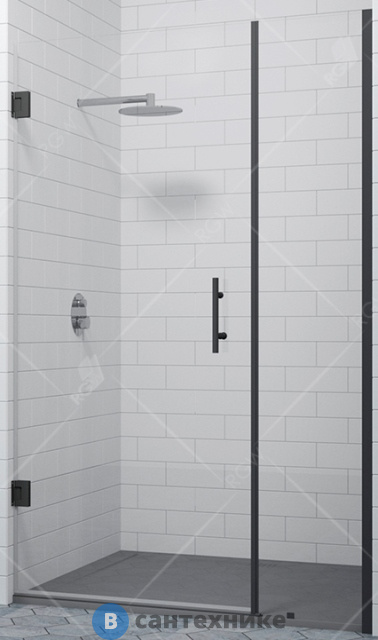 Душевая дверь RGW HO-012-B 100*195 чёрный/прозрачное/8 мм (350601200-14)