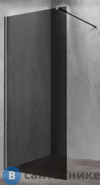 картинка Душевая перегородка Vincea Walk-In VSW-1H100CGGM, 1000*2000, вороненая сталь, стекло тонированное