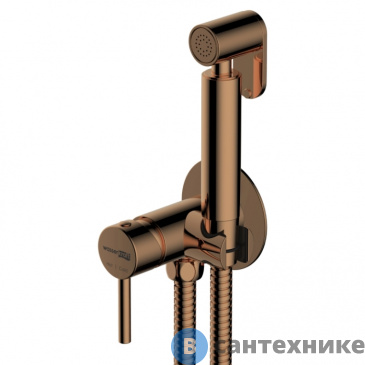 картинка Смеситель WasserKRAFT A70938 встраиваемый для душа с гигиенической лейкой