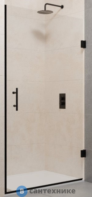 Душевая дверь RGW PA-06B чёрный/Прозрачное/6 мм 60*195 (41080606-14)