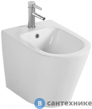 картинка Биде Jacob Delafon Rodin+ EBJ0002-00 напольное, белый