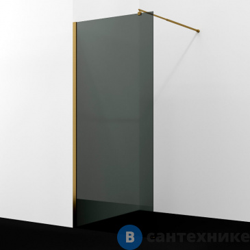 картинка Душевая перегородка WasserKRAFT Rur 30W39BG-TG 900х2000 мм
