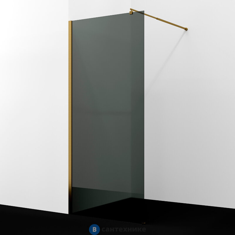 Душевая перегородка WasserKRAFT Rur 30W39BG-TG 900х2000 мм