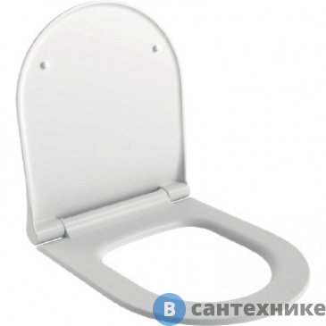 картинка Сиденье д/унитаза Ambassador Queen 112T20001S (тонкое) белое