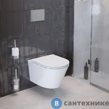 картинка Унитаз подвесной Ambassador Ritz 233K19003RS (530*360*350) безободковый, без сиденья