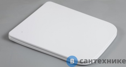 картинка Сиденье WELTWASSER WW 010 GL-WT для унитаза