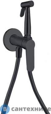 картинка Смеситель Aquanet Passion AF300-52B встр. с гиг.душем (латунь), черн.мат (243316)