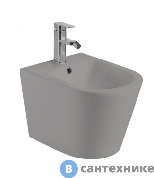 картинка Биде WELTWASSER SALZBACH 005 MT-GR подвесное, серый матовый