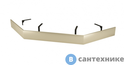 картинка Экран для поддона RGW N/ST-61 Be 100*100 (50231700-03)