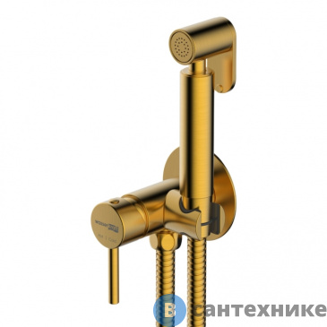 картинка Смеситель WasserKRAFT A70838 встраиваемый для душа с гигиенической лейкой