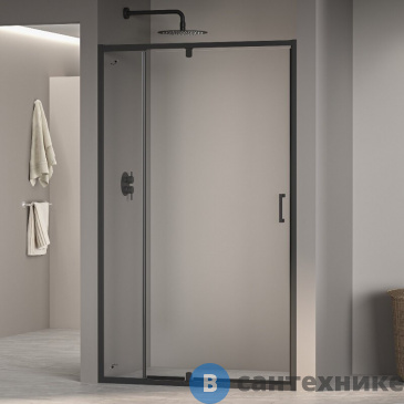 картинка Душевая дверь RGW PA-008-B 100-110*195 чёрный/ прозрачное (350800801-14)