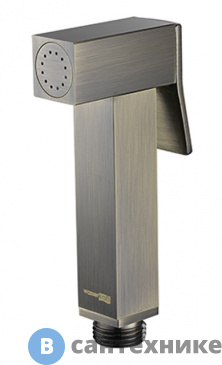 картинка Гигиеническая лейка WasserKRAFT A138 с фиксатором