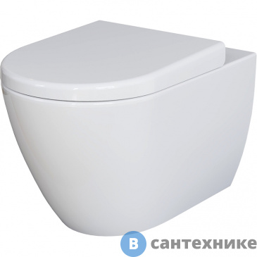 картинка Унитаз подвесной Ambassador Queen 113T20001R (570*360*400) безободковый, без сиденья