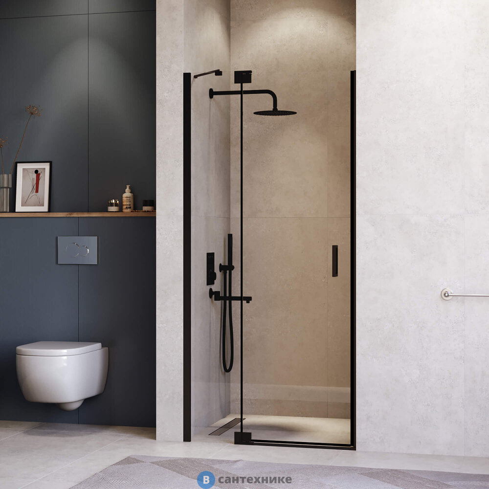 Душевая дверь RGW HO-014B 120*200 Чёрный/ Прозрачное (350601412-14)