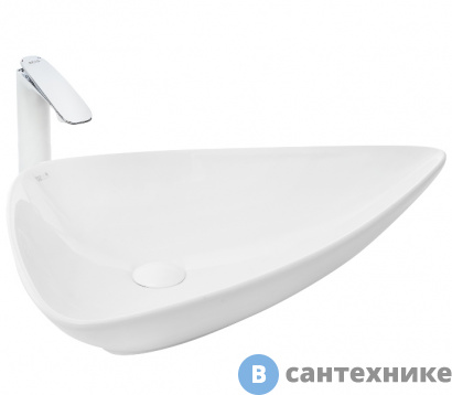 картинка Раковина WELTWASSER ELBACH 1043 накладная (655х460х165)