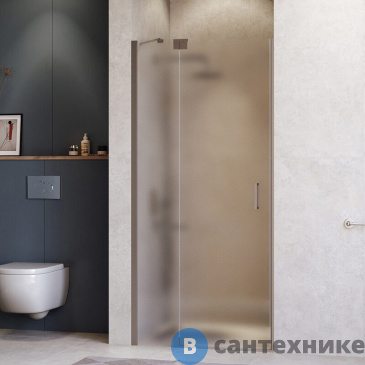 картинка Душевая дверь RGW HO-014Gr 120*200 Серый/ Прозрачное (350601412-110)