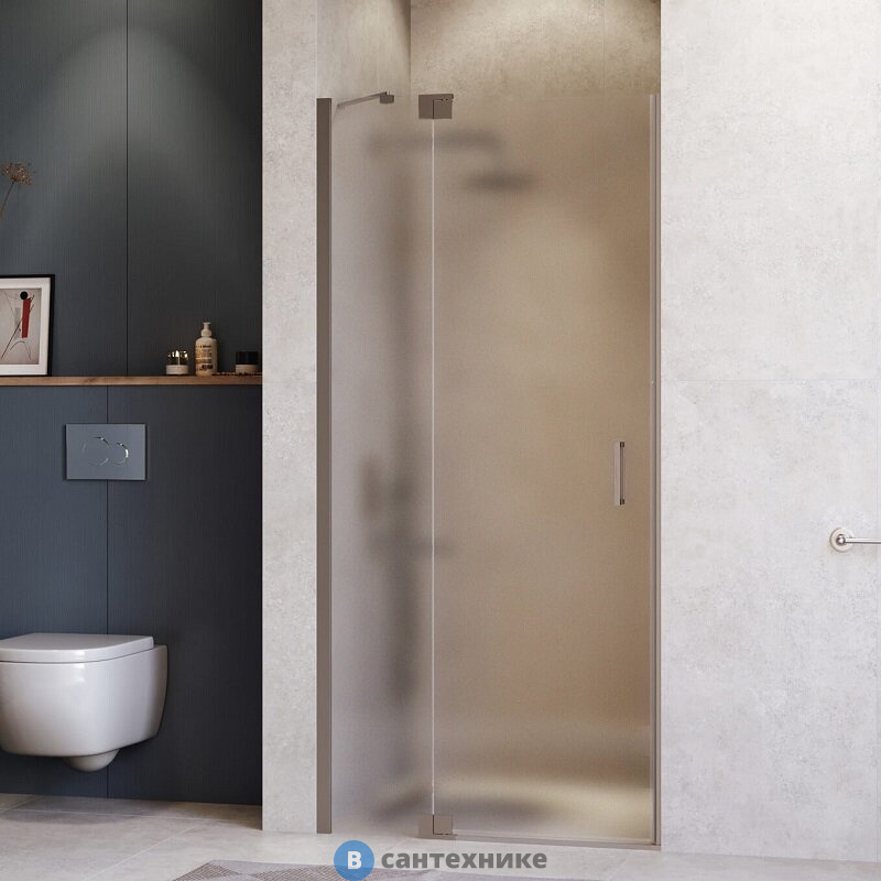 Душевая дверь RGW HO-014Gr 120*200 Серый/ Прозрачное (350601412-110)