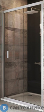 картинка Душевая дверь Ravak Blix BLDP2-100 блестящий + Графит (0PVA0C00ZH)