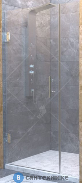 Душевая дверь RGW HO-012 110*195 хром/прозрачное/8 мм (350601211-11)