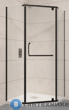 картинка Душевой уголок RGW PA-081B чёрный/Прозрачное/6 мм 100*100*195 (35088100-14), без поддона