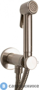 картинка Гигиенический душ Bossini PALOMA E37005B.094 брашированный никель
