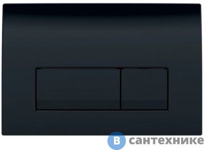 картинка Клавиша смыва Geberit Delta50 115.119.DW.1 для двойного смыва, чёрный