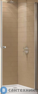 картинка Душевая дверь Cezares ECO-O-B-1-60-C-Cr 600x1900