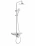 Душевая система WELTWASSER WW DP 1020 CR хром