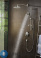картинка Лейка для душа Hansgrohe 26014000 RD Select S 120 3jet