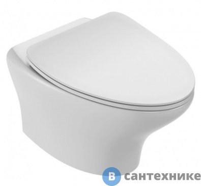 картинка Унитаз подвесной Jacob Delafon NOUVELLE VAGUE EDJ102-00 безободковый /54х39х41/ (белый)