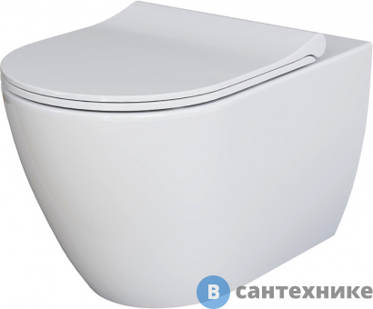 картинка Унитаз подвесной Ambassador Queen 113T20001R (570*360*400) безободковый, с тонкой крышкой