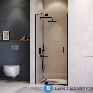 картинка Душевая дверь RGW HO-014B 110*200 Чёрный/ Прозрачное (350601411-14)