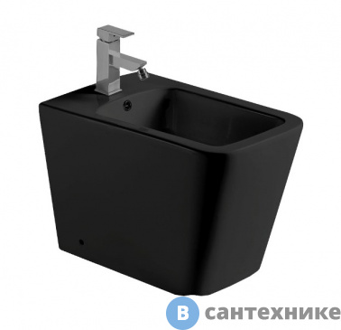 картинка Биде WELTWASSER GELBACH 003 MT-BL напольное, чёрный матовый