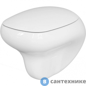 картинка Унитаз подвесной Ambassador Diamond 123T20001R (530*405*375) безободковый, с толстой крышкой