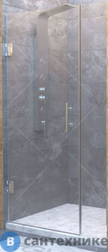 картинка Душевая дверь RGW HO-012 120*195 хром/прозрачное/8 мм (350601212-11)