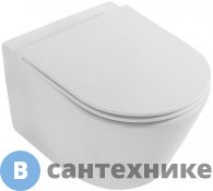 Унитаз подвесной Jacob Delafon Rodin EDY102-00 без сиденья